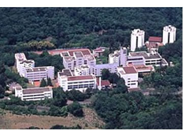 大学 武蔵野 音楽
